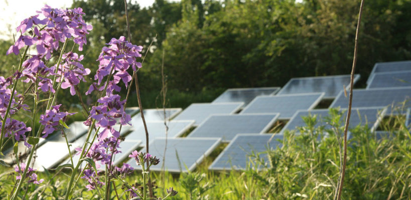 NL Solarpark de Kwekerij