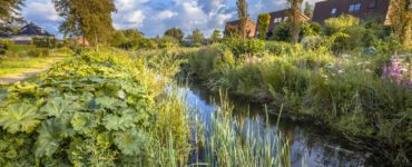 natuurinclusieve gebiedsontwikkeling versterkt biodiversiteit