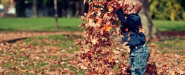 https://pixabay.com/nl/photos/jongen-spelen-bladeren-herfst-kind-1209964/