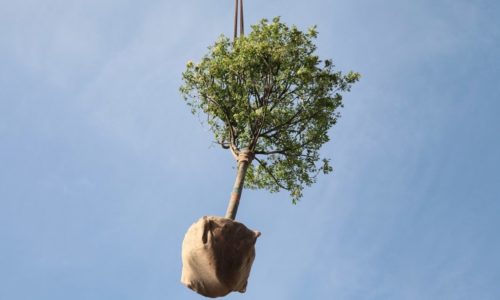 Alloggiamento_Piante_Bosco_Verticale_I